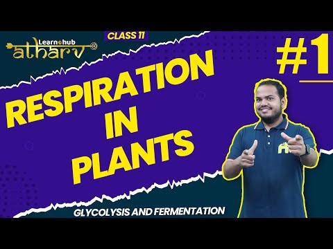 Respiration in Plants Class 11 Biology NCERT Chapter 11 #1 | Glycolysis and Fermentation  | Atharv