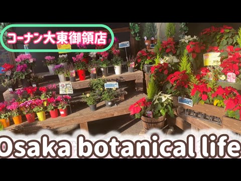 🍃Osaka botanical life🍃コーナン大東御領店に行ってきました♥