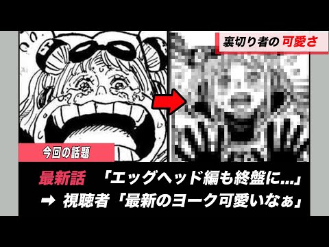 【ワンピース】最新のヨークの可愛さが視聴者をざわつかせている問題