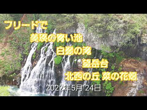 2022年 5月24日 天気がいいので フリード プラスで 美瑛にドライブ行きました