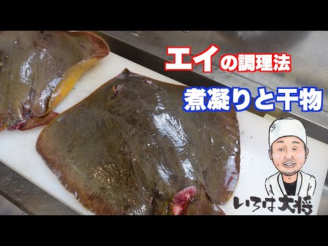 エイの捌き方　調理法　エイヒレ　煮凝り