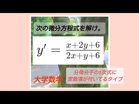 分母分子の定数項を無くす方法！「原理を知らない人多い。」【微分方程式意外でもこの考え方は役立ちます】「y'=1次式/1次式」の微分方程式②일본어 리듬으로 일본 대학의 수학을 배우자.