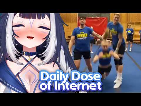 Shylily Reacts to Daily Dose of Internet and Funny Memes