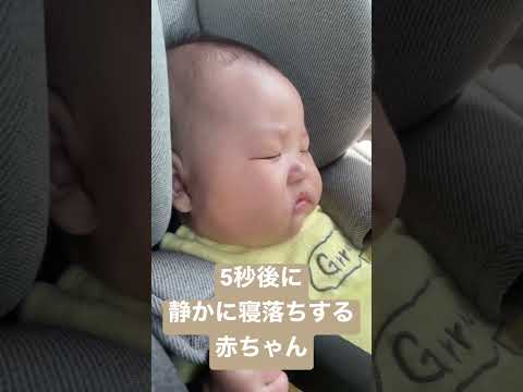 【寝落ち】静かなるご就寝【寝顔】 #shorts #あかちゃん #baby