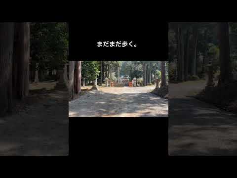 信楽にある日雲神社行ってみた。参道の途中に線路がある珍しい神社。ジブリ的な雰囲気でお気に入りの場所です。#モトブログ#モンキー125#滋賀#信楽#日雲神社#ジブリ