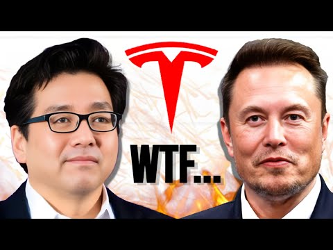 Tom Lee: "BUY TESLA STOCK!" + Elon Musk Drops BOMBSHELL