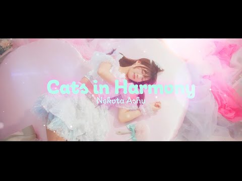 Cat in Harmony / 猫田あしゅ(プエラの絶対値)