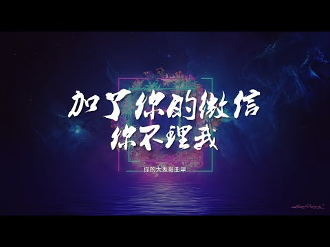 加了你的微信你不理我 - 你的大表哥曲甲【动态歌词/Music Lyrics】