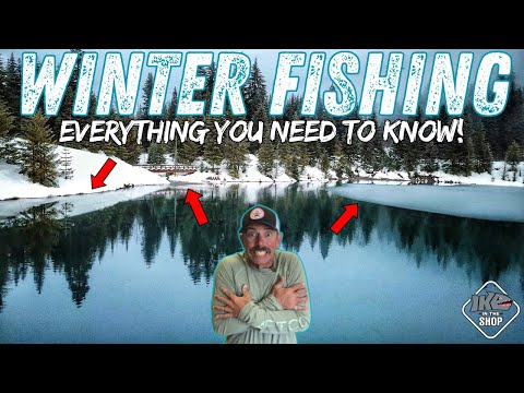 Winter Bass Fishing!: Where Fish Go & How to Catch Them in the Coldest Months!!