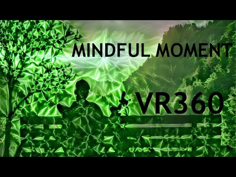 Mind Body Connection Mindful Meditation 360 VR