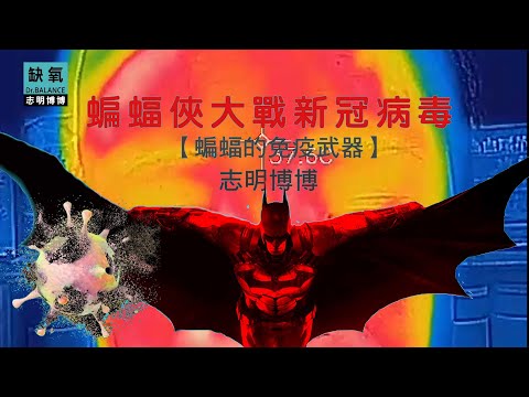 蝙蝠俠大戰新冠病毒-【蝙蝠的免疫武器：有氧發熱】字幕