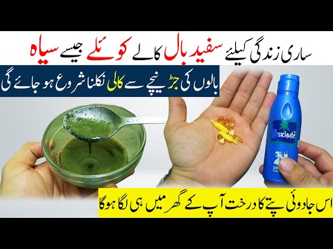 Homemade Hair Oil To Turn White Hair To Black Forever | Long Hair Tips |  Hair Growth Tips