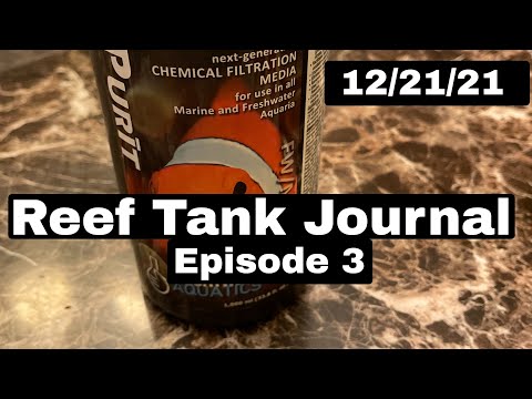 Reef Tank Journal Episode 3 - We added Brightwell Aquatics Purit To Our Saltwater Reef Tank