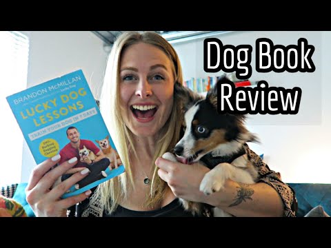 Lucky Dog Lessons by Brandon McMillan | Book Review