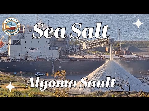 "Sea Salt" Algoma Sault arrived in Duluth 09/24/2024