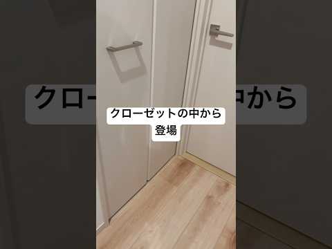 クローゼットの中からひょっこり出てきました #shorts #shortvideo ＃赤ちゃん #baby #babyboy #1歳 #funny #おもしろ #クローゼット