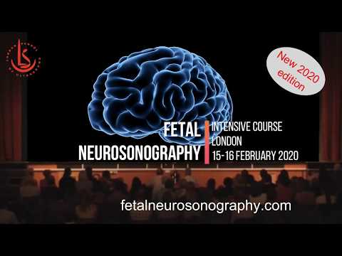 FETAL NEUROSONOGRAPHY & CNS ANOMALIES: THE PRACTICAL APPROACH (3rd Updated Course: 2020 edition)