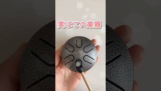 🎍実はこの楽器🎍　#ミニタングドラム