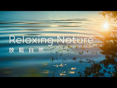 放鬆音樂Relaxing Music｜凝視水面的波動，讓繁雜的思緒隨波逐流，漸漸遠去