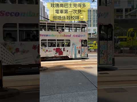 😭玫瑰崗校巴見得多｜電車 第一次見｜但唔係殺校咩😭 #tram #hongkong #transport