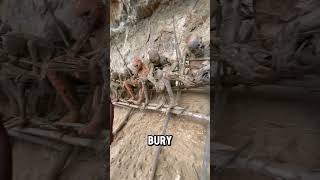 Indonesian Tribe Keep 350 Years Old Mummy 😳😟 #facts #shorts #youtubeshorts #shortsfeed #viralshorts