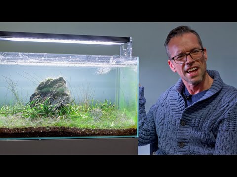 How to WAKE UP with Aquarium Algae (4K) Part One