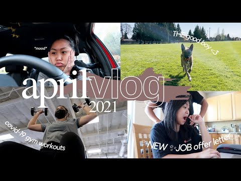 VLOG: covid-19 gym workouts, signing my new offer letter, philz coffee, hellofresh // april vlog