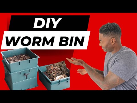 How to Build a DIY Worm Bin in 5 Easy Steps