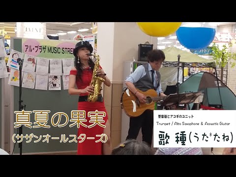 【 真夏の果実 / サザンオールスターズ 】Cover 第二回京田辺ミュージックストリート　IKEKITA Minoru様　Youtube切抜き