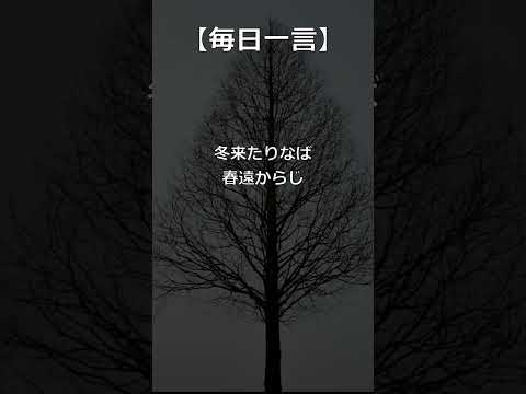 【毎日一言】伸びあがる準備! #名言 #名言シリーズ #人生