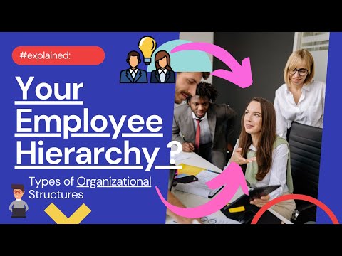 Employee Hierarchy: Types of Organizational Structures | Simplicity Consultancy