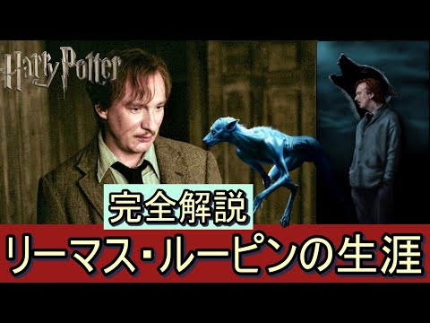 【ハリーポッター】リーマス・ルーピンの生涯 完全解説