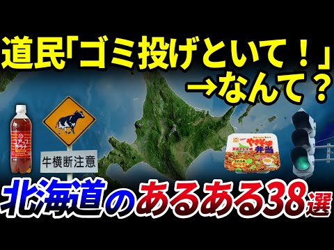 【ゆっくり解説】道民以外の9割が知らない「北海道のあるある」38選を解説