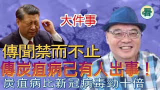 沈四海：大件事！「換肝」傳聞禁而不止；大陸政府承認出現炭疽病，有好多牛死咗！傳已有人出事！炭疽病比新冠病毒勁十倍！......