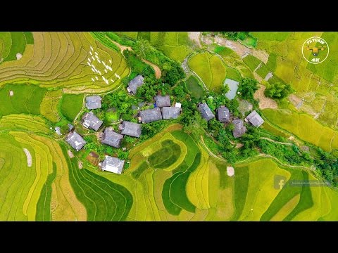 Mù Cang Chải - The Most Majestic Terraces Of Vietnam