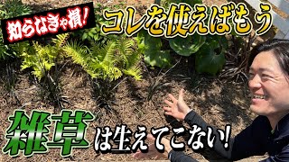 【究極の雑草対策】防草シートより優秀なコレを使えば雑草は生えてきません！