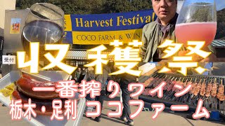 【収穫祭】栃木県足利市　ココファーム・ワイナリーでできたてワインを味わう‼️🍷