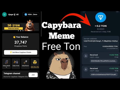 Capybara meme withdraw | how to withdraw capybara meme bot  | capybara telegram bot