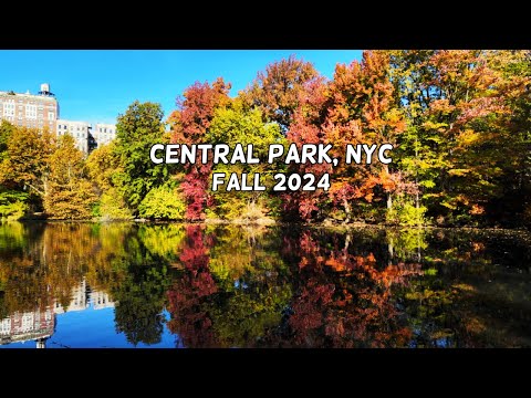 🗽 NYC 🍁 AUTUMN WALK 2024 | Relaxing 🍂🦆 Fall Foliage and Ducks in a Sunny Central Park [4K]