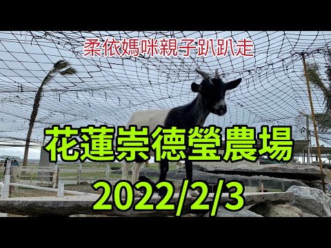 花蓮崇德瑩農場2022/2/3 大年初三 (2022/1/29-2/3花東行-24）