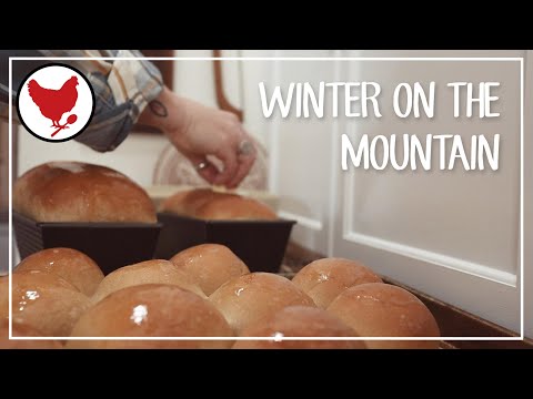 A Cozy Winter Day in the Life | Pets with Purpose | Hungarian Goulash | Slow Living