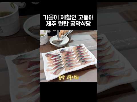 [오푸파] 가을이 제철인 고등어 제주 원탑 곰막식당 #최자맛집 #곰막식당 #고등어회