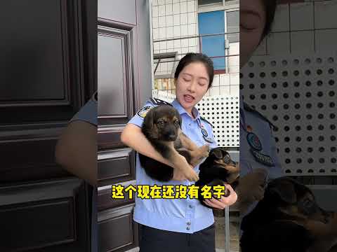 給未來的警犬起個啥名