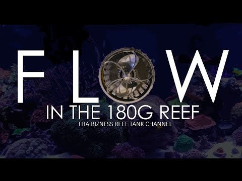 Flow in the 180g Reef Tank