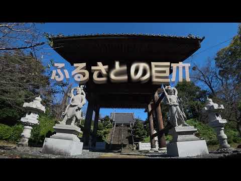 【千葉県市原市】空から見た巨木の映像「ふるさとの巨木」～釋蔵院～