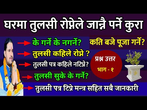 तुलसी घरमा रोप्नेले जान्नै पर्ने के गर्ने के नगर्ने सबै जानकारी? भाग-१| Tulsi ropne