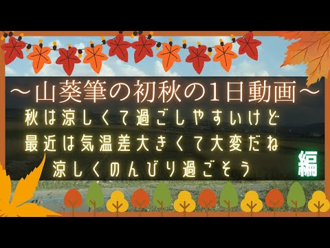 【実写】21歳の秋の1日を見て欲しい