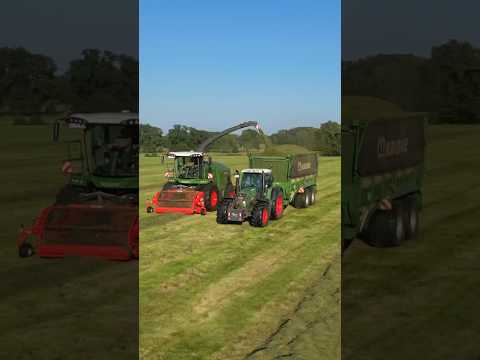 Gras häckseln mit neuem Fendt Katana 850🔥 #2024 #farming #fendt #landwirtschaft #agriculture