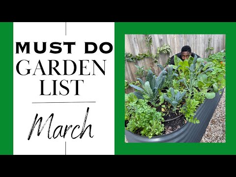 How do I grow a thriving garden? March Garden To-Do List: March garden to-do list.