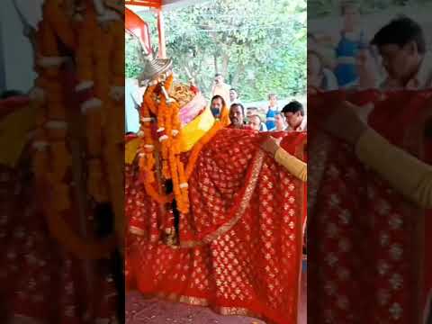 jay maa surkanda Doli ♥️#surkandamata surkanda #surkanda #share #surkandadevi #shorts 😇